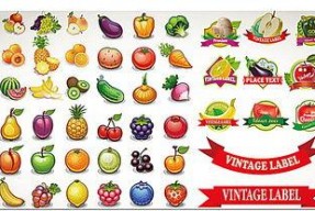 娱乐吃瓜酱视频边框设计,揭秘视频边框设计新潮流