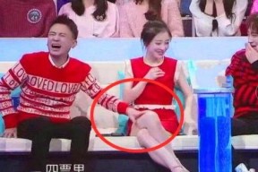 穿越娱乐圈综艺节目组吃瓜系统,揭秘综艺幕后那些事